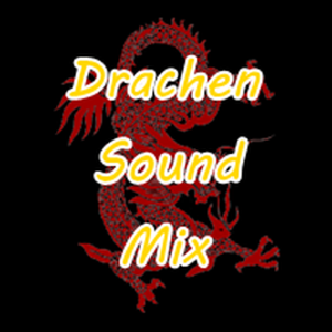 D S M-logo