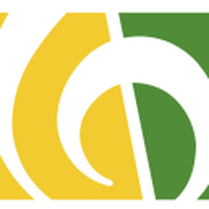 Scv Choere In Sachsen-logo