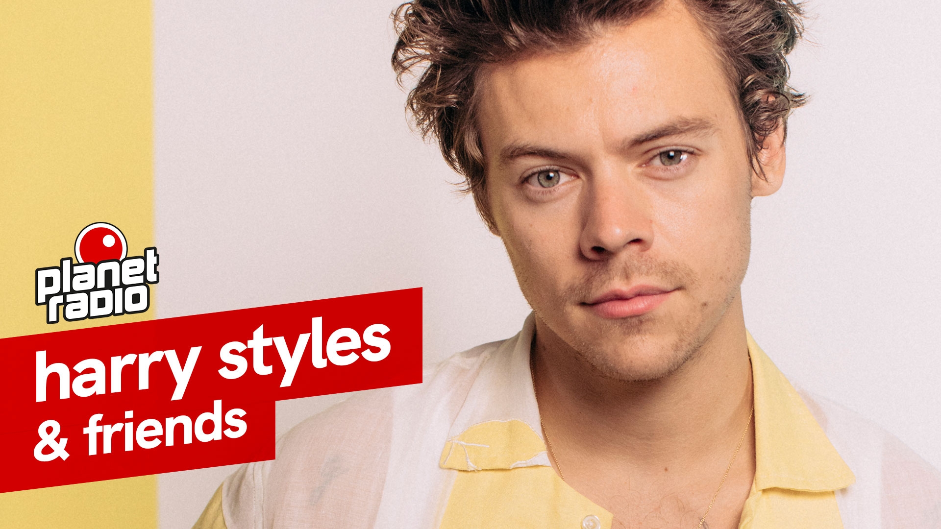 planet harry styles & friends