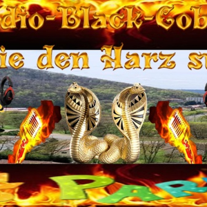 Radio Black Cobra-logo