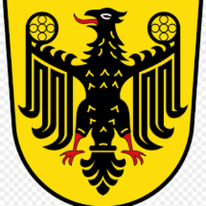 Partyalarm-logo