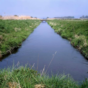 Wassergraben FM-logo