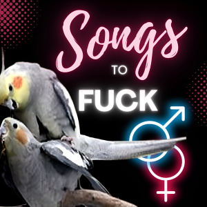 Songs To Fuck-logo