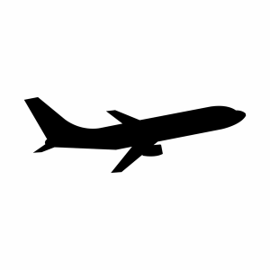 Flying Radio-logo