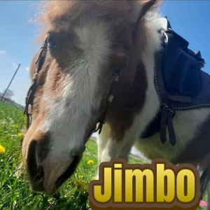 jimbo-logo