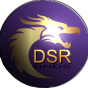 Bnds-logo