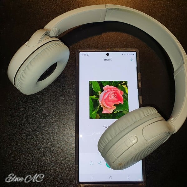 Radio Festival OL Free Radio TuneIn