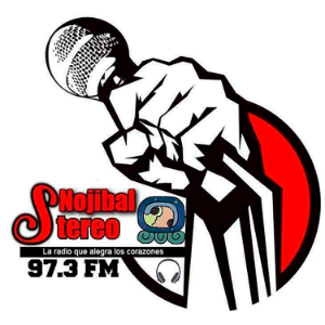 Nojibal Stereo-logo