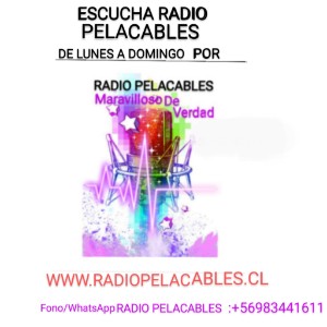 RADIO PELACABLES-logo