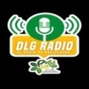 DLG RADIO-logo