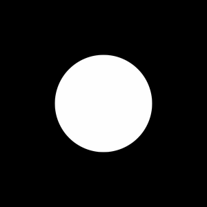 Internationalpicnic-logo