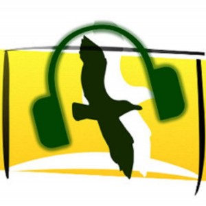 RadioAlbatros-logo