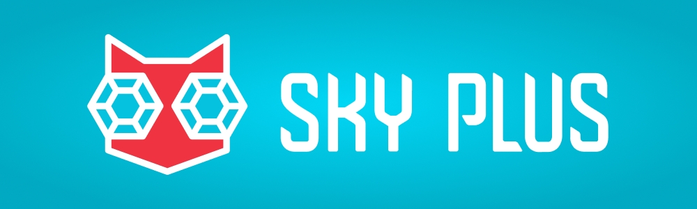 Sky Plus DNB