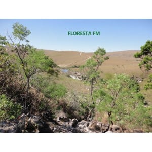 FlorestaFM-logo