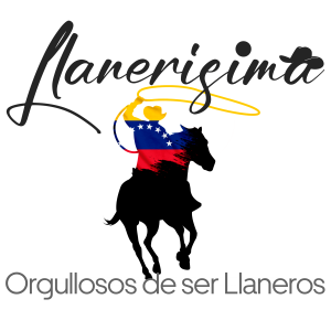 LLanerisima-logo