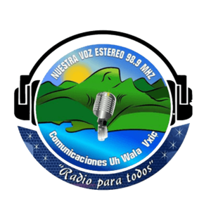 Nuestra Voz Stereo-logo