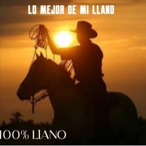 Lo mejor de mi llano-logo