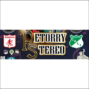 Petorry Stereo-logo
