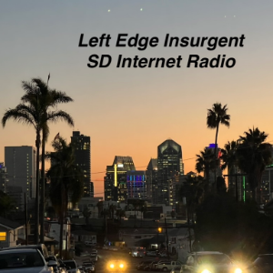 Left Edge Insurgent SD-logo