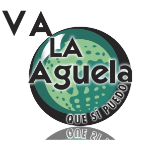 VALAGUELA RADIO-logo