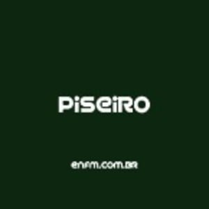 En FM - Piseiro