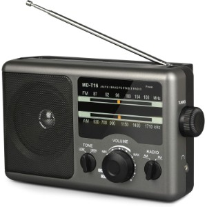 RADIO PLATEFORME PLUS-logo