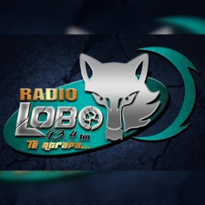 RADIO LOBO 934 FM-logo