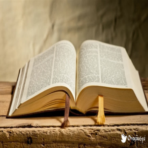 radio biblia narrada-logo