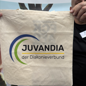 Radiobrandenburhplus-logo