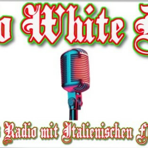 Radio - White - Darcon-logo