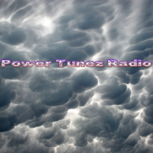 Power Tunez-logo