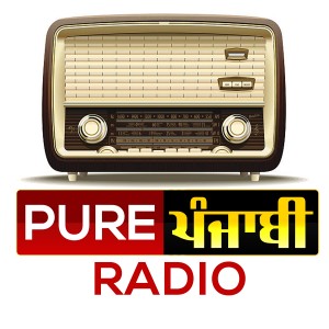 Pure Punjabi