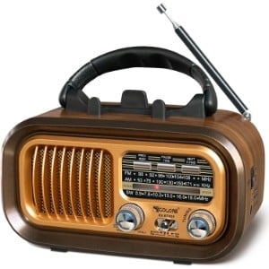 RADIO SISMIQUE FM-logo