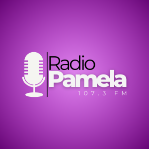 Radio Pamela 107.3-logo