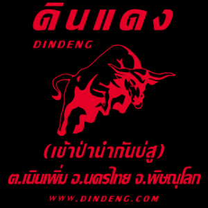 Radio DinDeng-logo