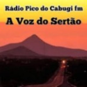 radiopicodocabugi-logo