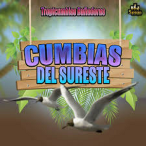 Cumbias del Sureste y mas Ritmos-logo