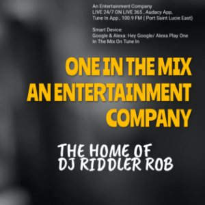 One In The Mix-logo