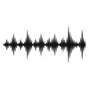 Treasure Radio-logo