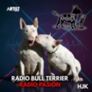 Radio Bull Terrier-logo