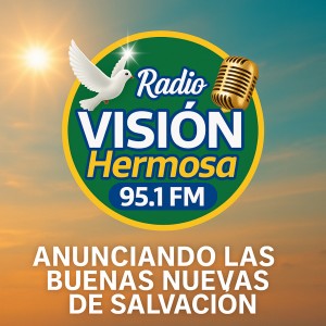 RADIO VISION HERMOSA-logo