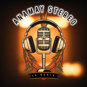Anamay Stereo-logo