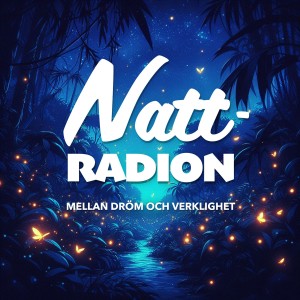 Nattradion-logo