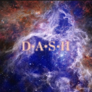D•A•S•H-logo