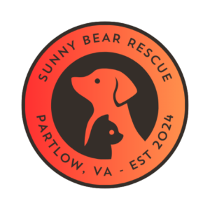 Sunny Bear Radio-logo