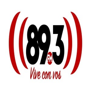 DIVERSIDAD 89.3 FM-logo