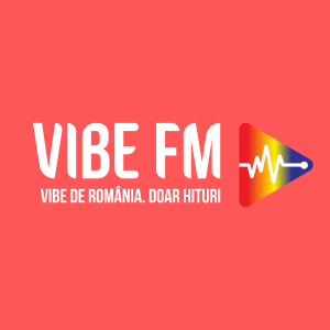 Vibe FM-logo