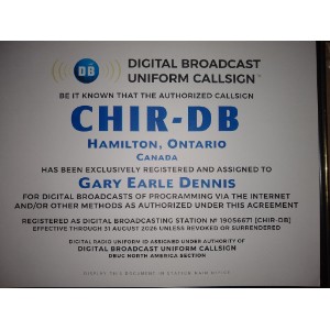 Infringement Radio-logo