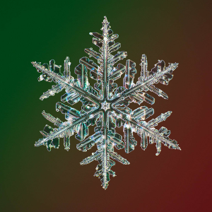 snowflake-logo