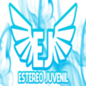 Estereo Juvenil 91.3 F.m